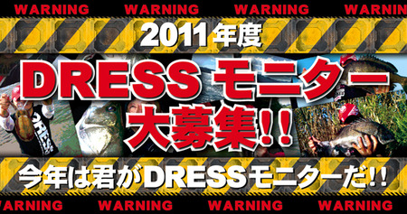 DRESSモニター募集