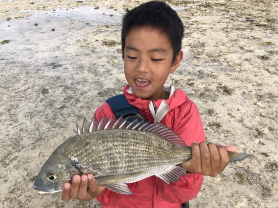 甥っ子が釣ったチヌ